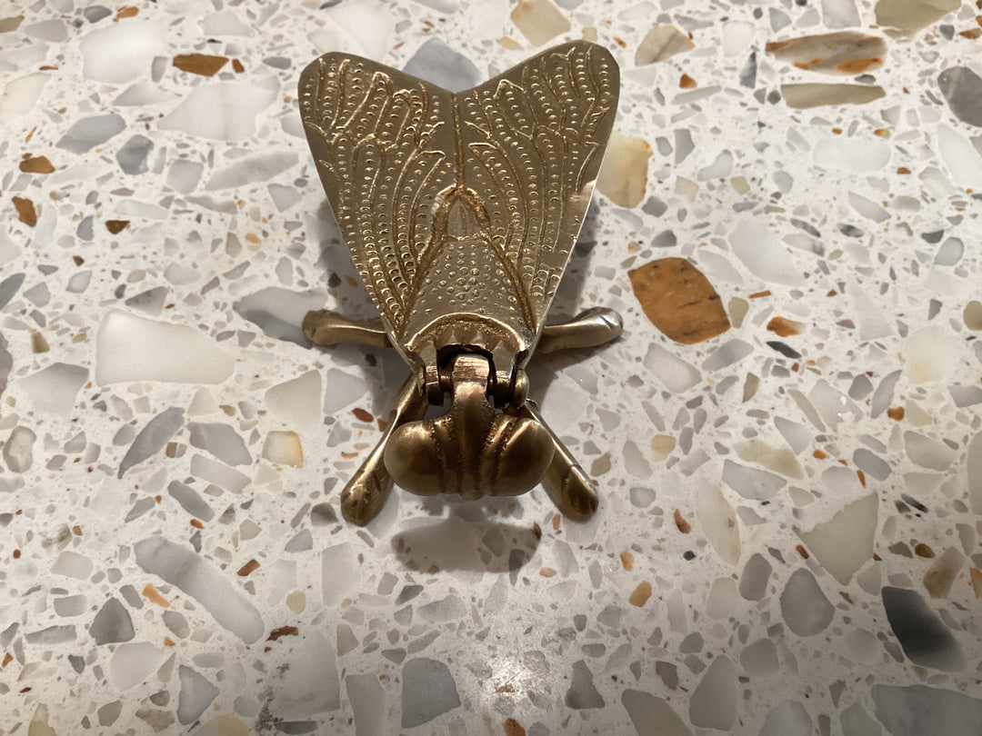Brass bug box decor