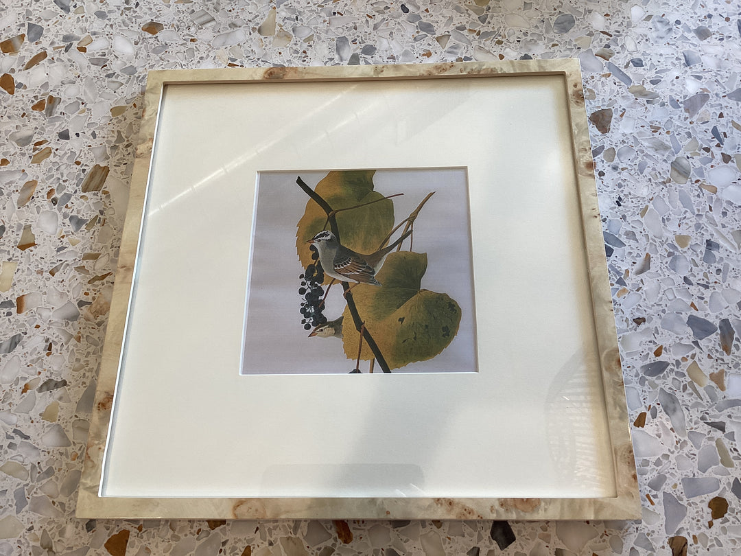 8x8 Frame