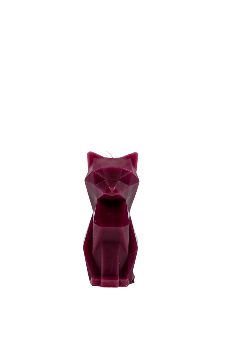 Pyro pet