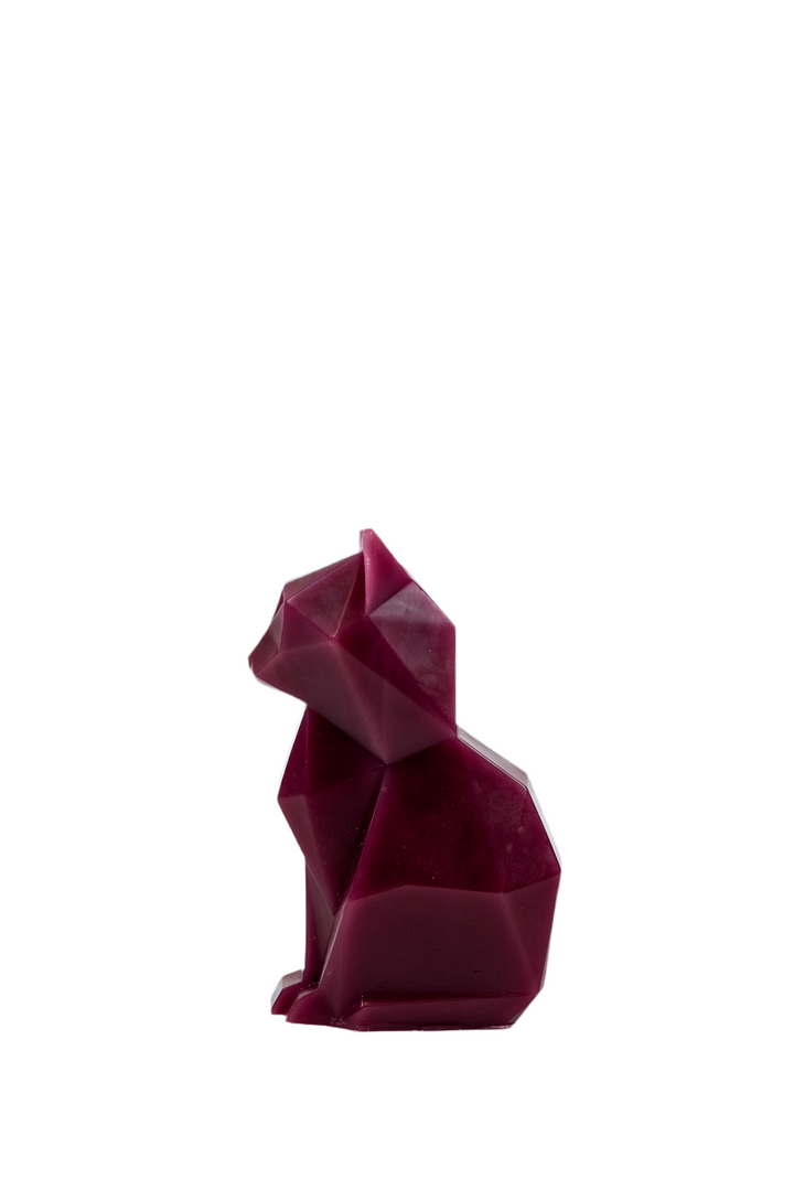 Pyro pet