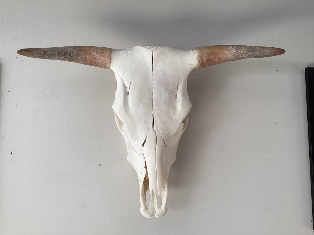 Cow Head Light