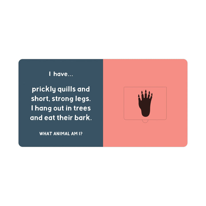 Forest Tracks: What Animal Am I? Lift-the-Flap Board Book